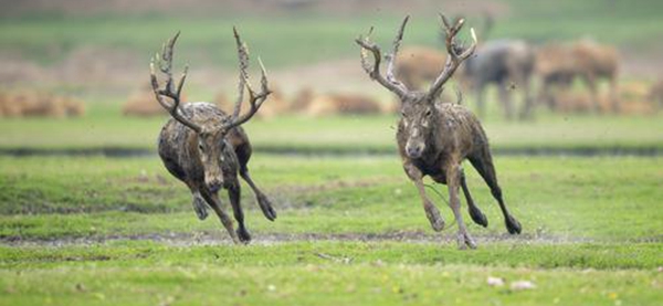 binary_middle (1).jpg